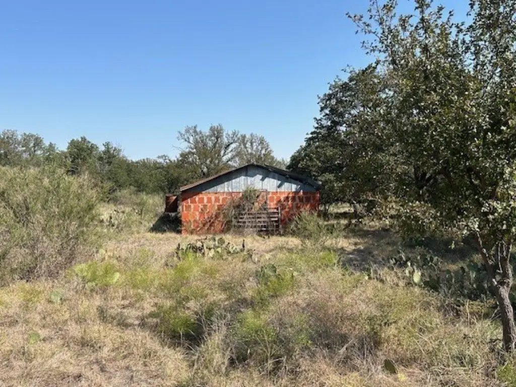 Picture 25