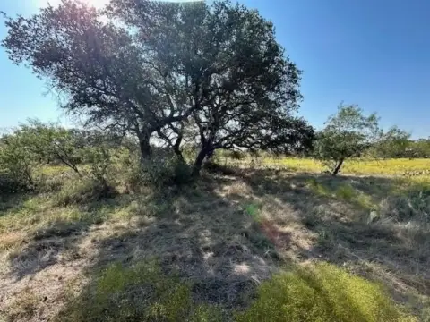 Texas Ranch with Mature Trees
