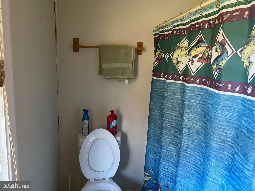 Picture 5
