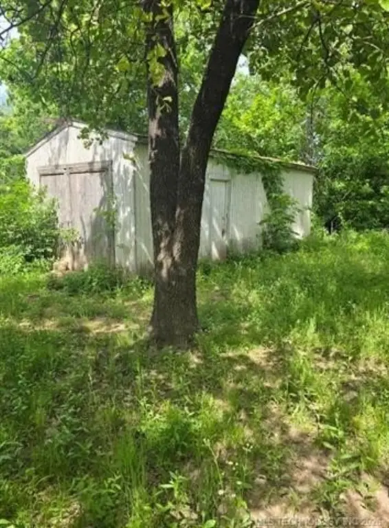 Picture 5