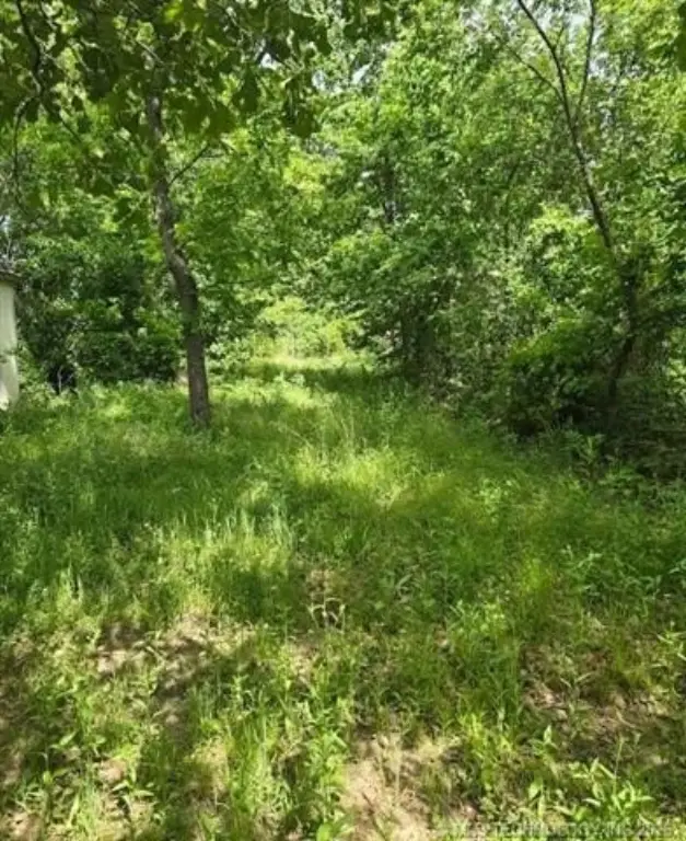 Picture 7
