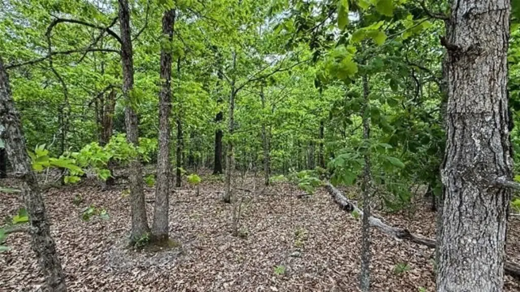 Picture 8
