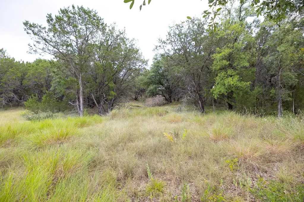 Picture 23