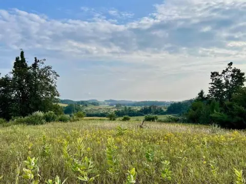 39 Acres in Antrim County