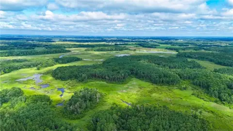 80 Acres Hunting Land in Staples