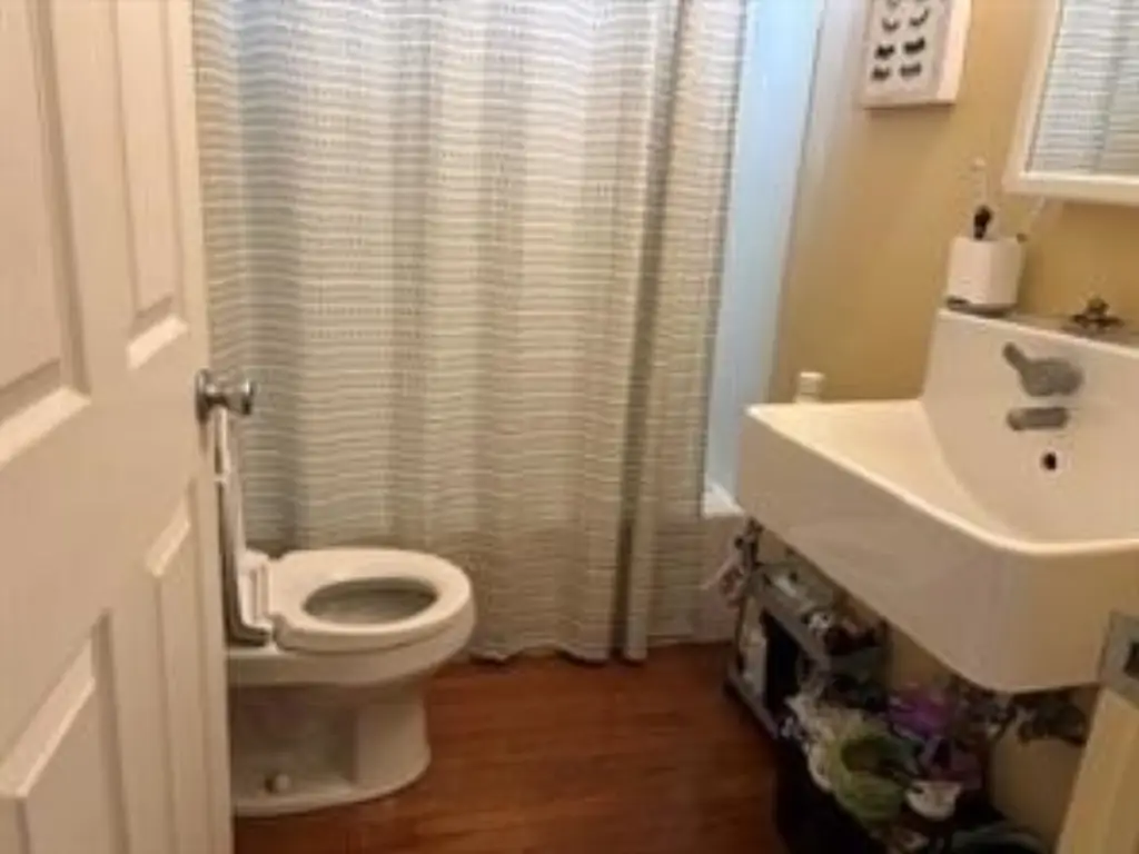 Picture 5