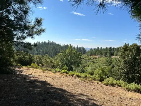 29 Acres in Murphys, CA