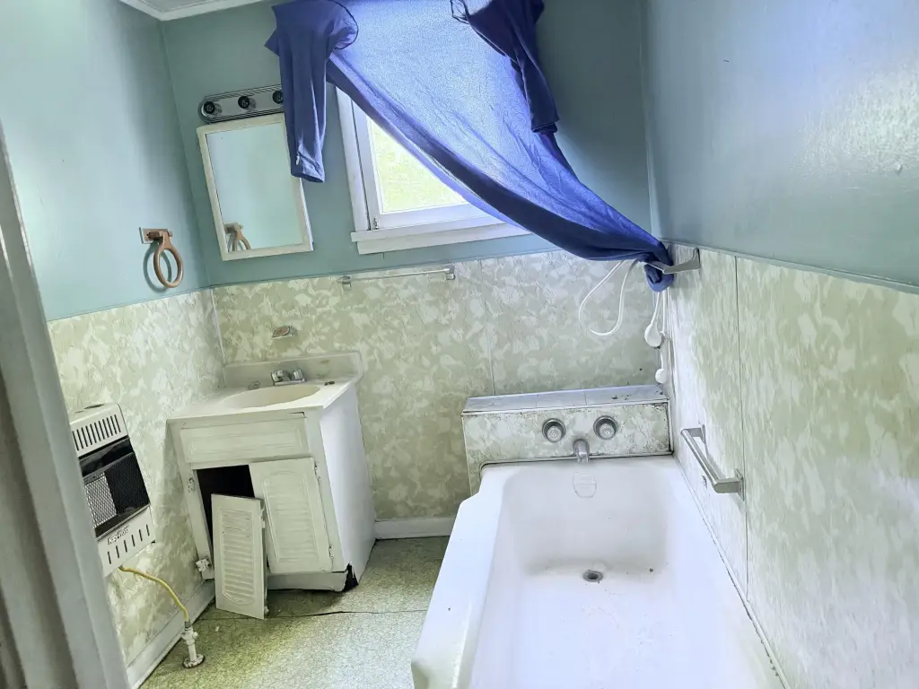 Picture 15