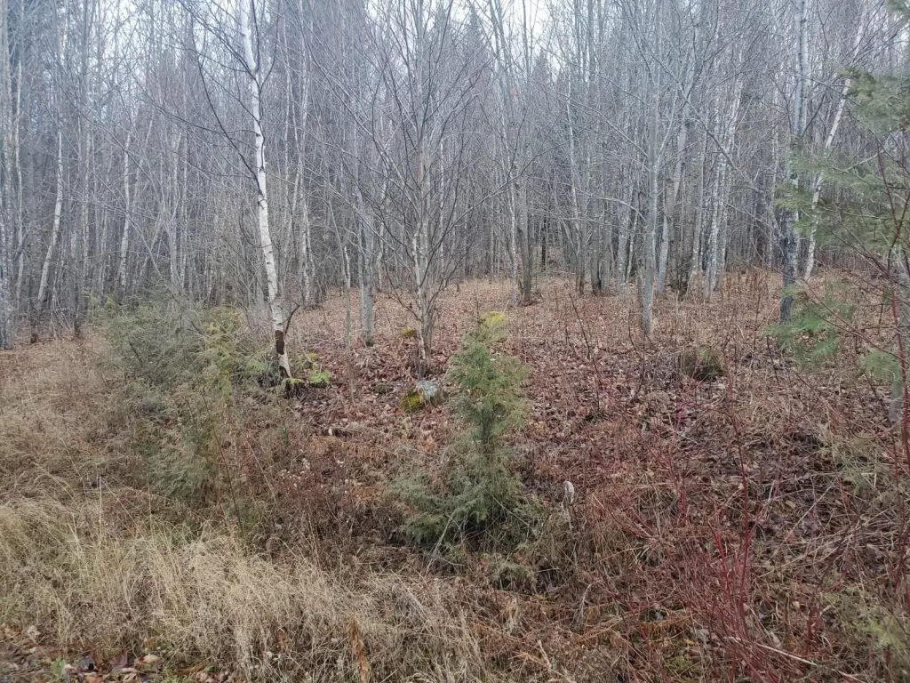 Picture 9