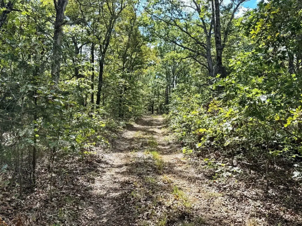 Picture 22