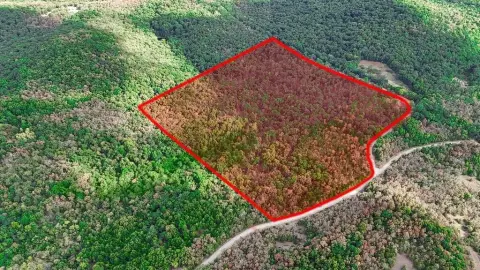 Wooded Hunting Land