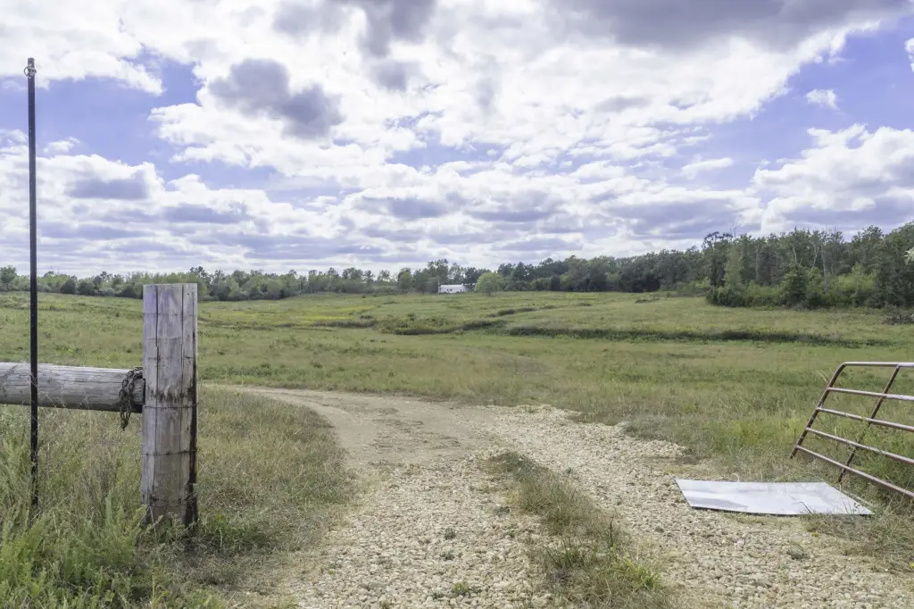 Picture 15