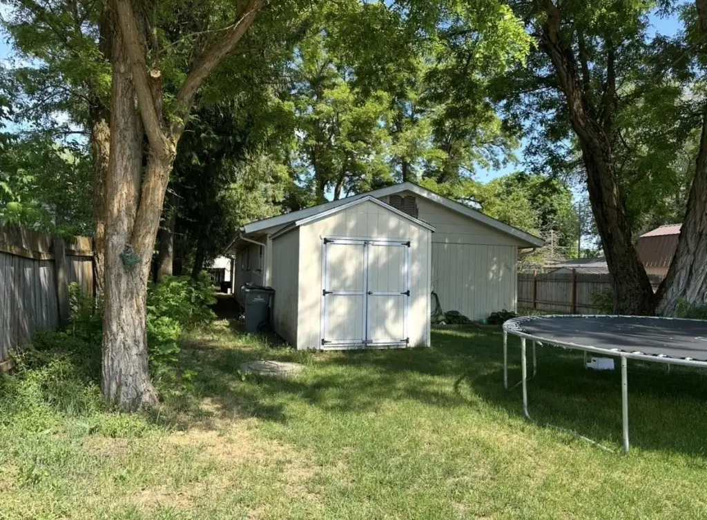Picture 4