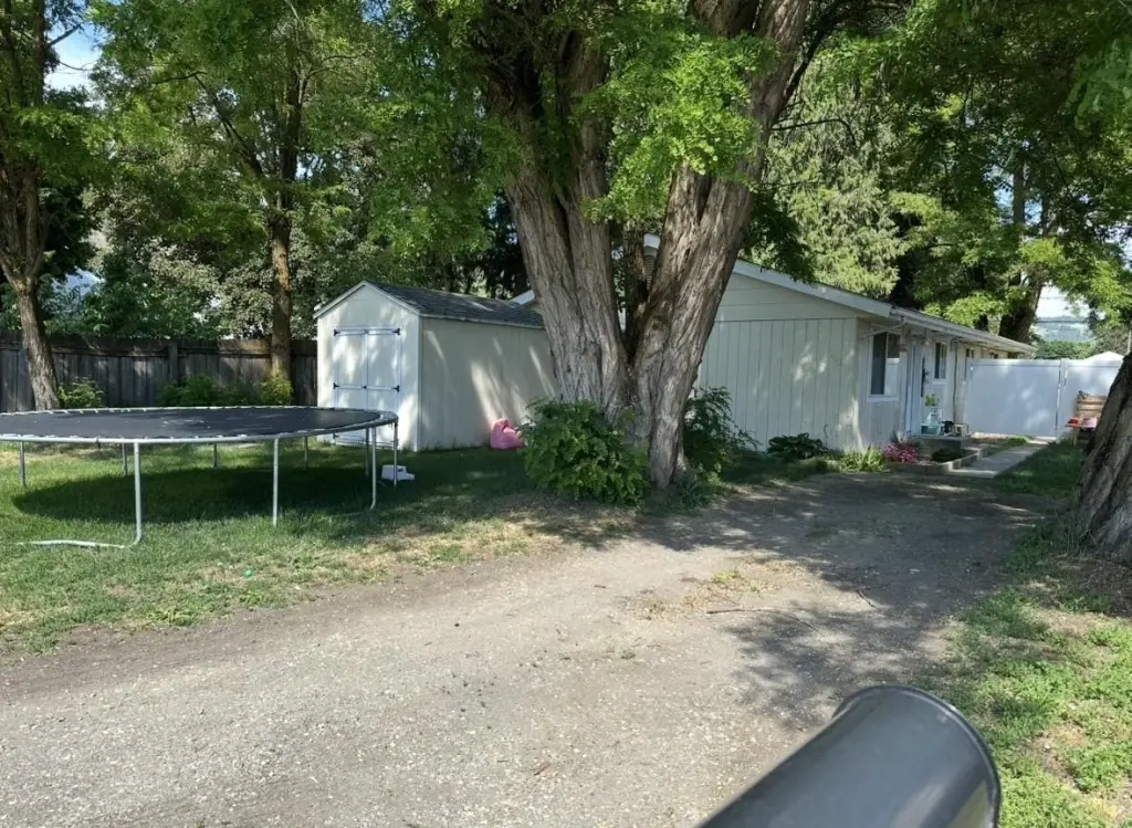 Picture 3