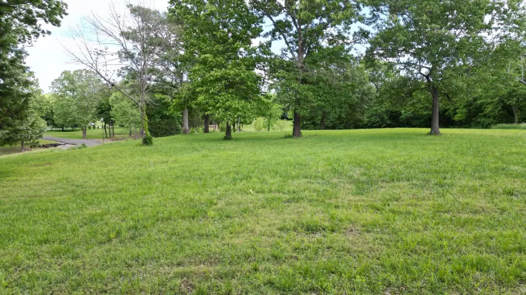 Picture 9