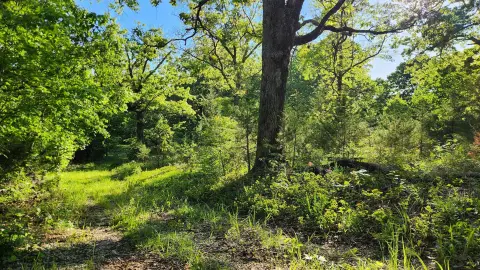Land in Clever, Missouri