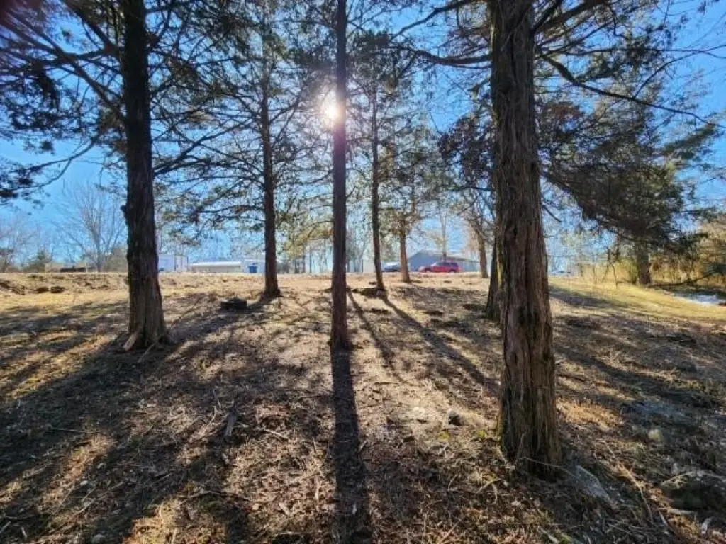Picture 16