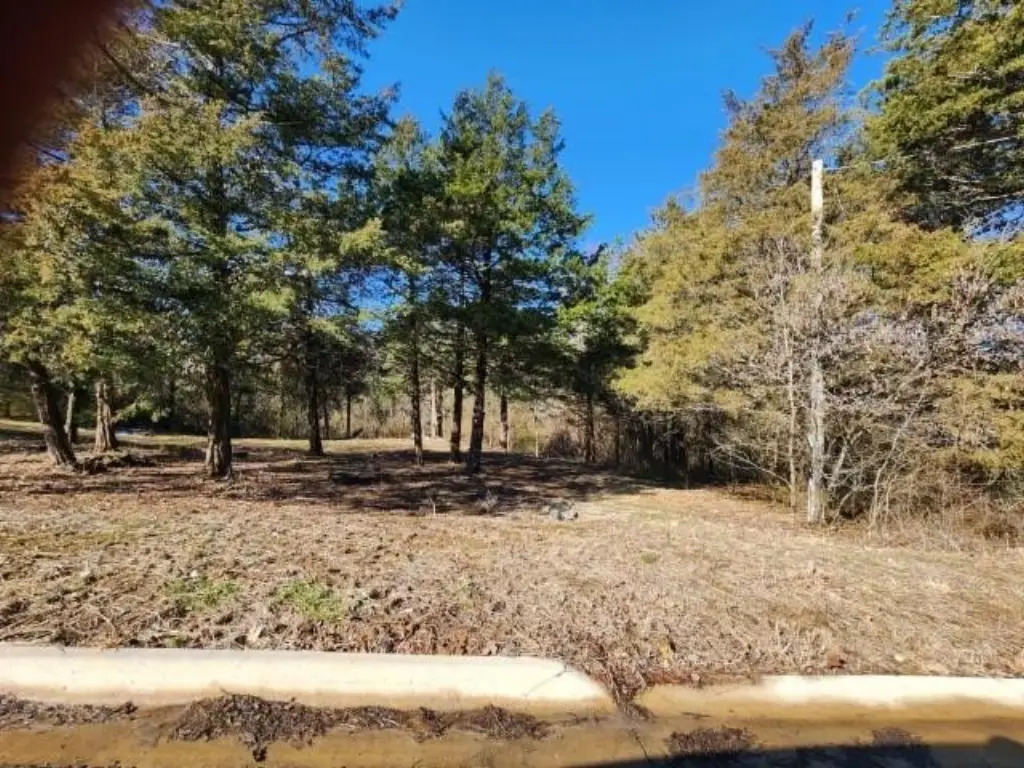 Picture 17