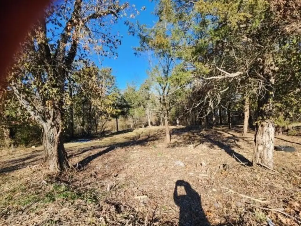 Picture 20