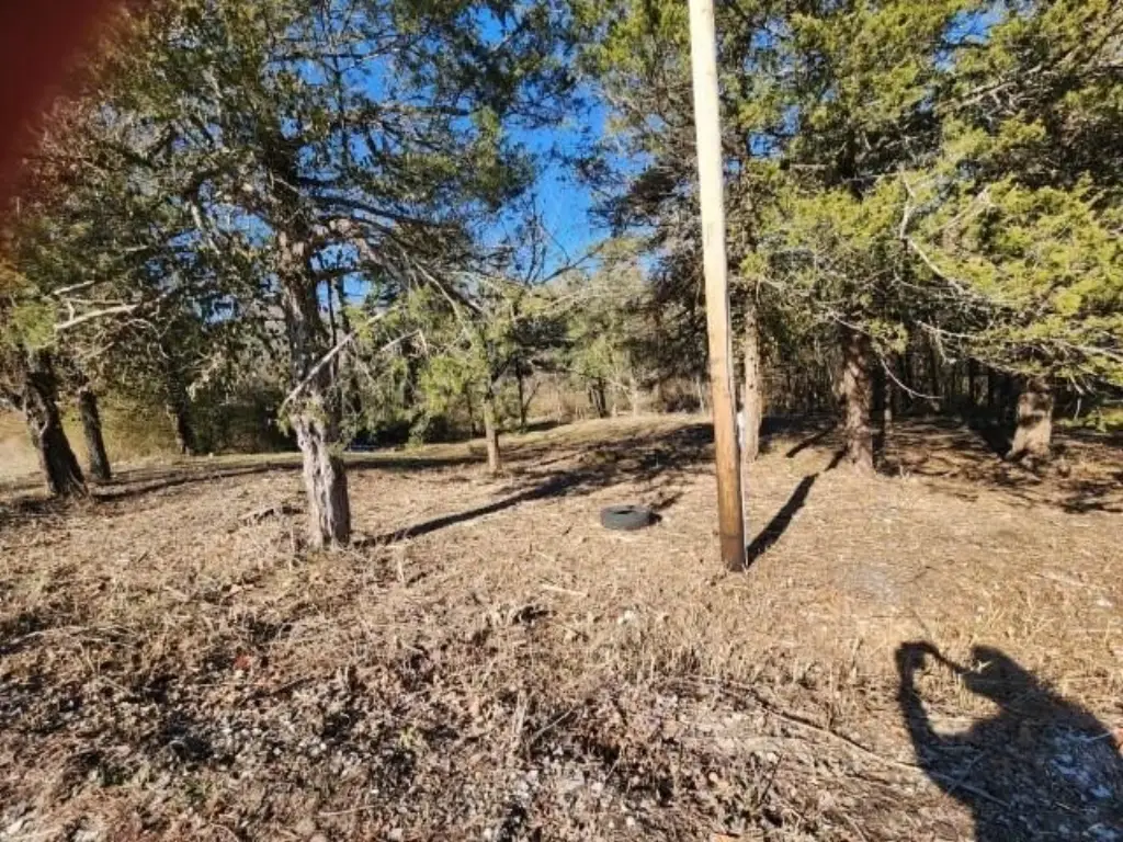 Picture 18