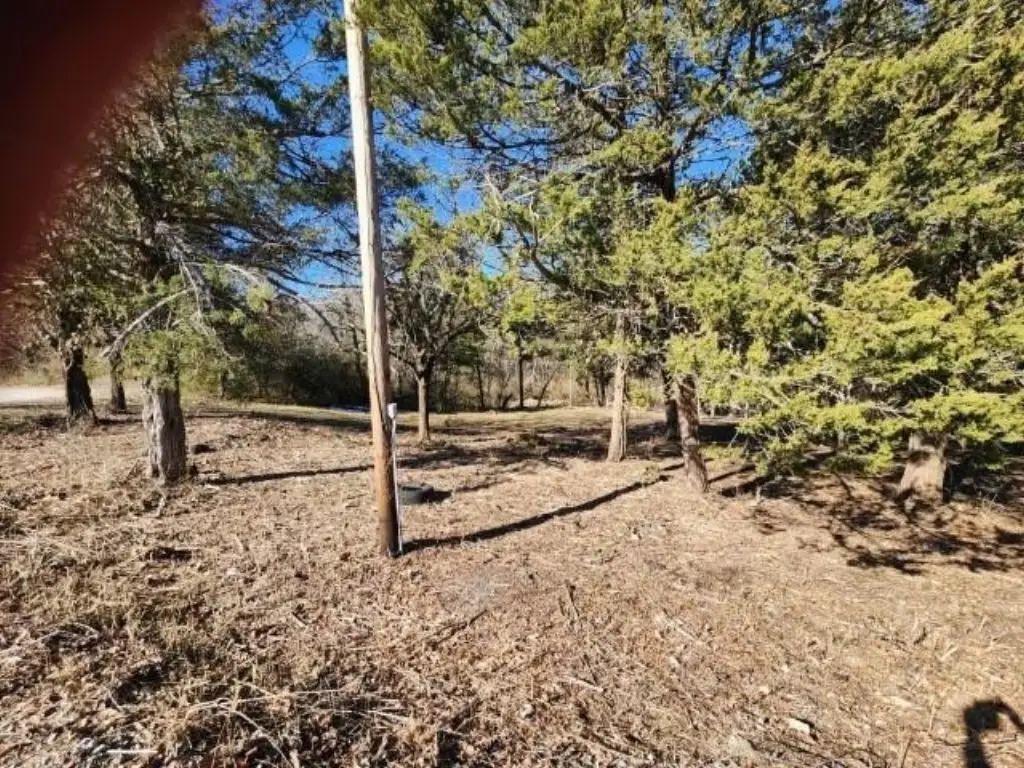 Picture 19
