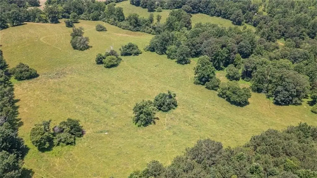 Picture 13