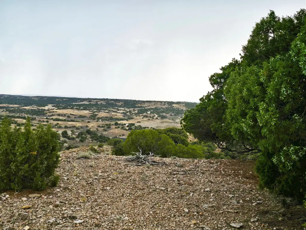 Picture 30