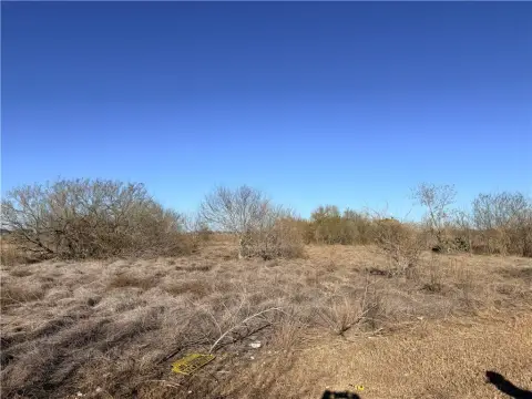 Residential Land in Bishop, TX