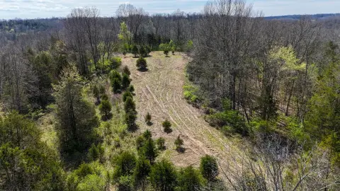 Versatile Land Tract in Worthville