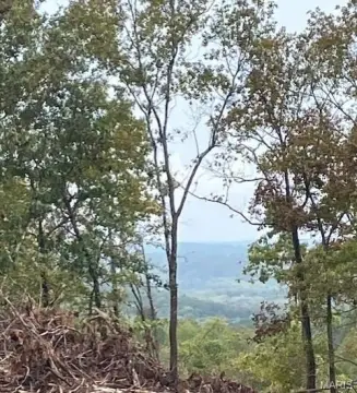 Acreage Near Mark Twain Forest