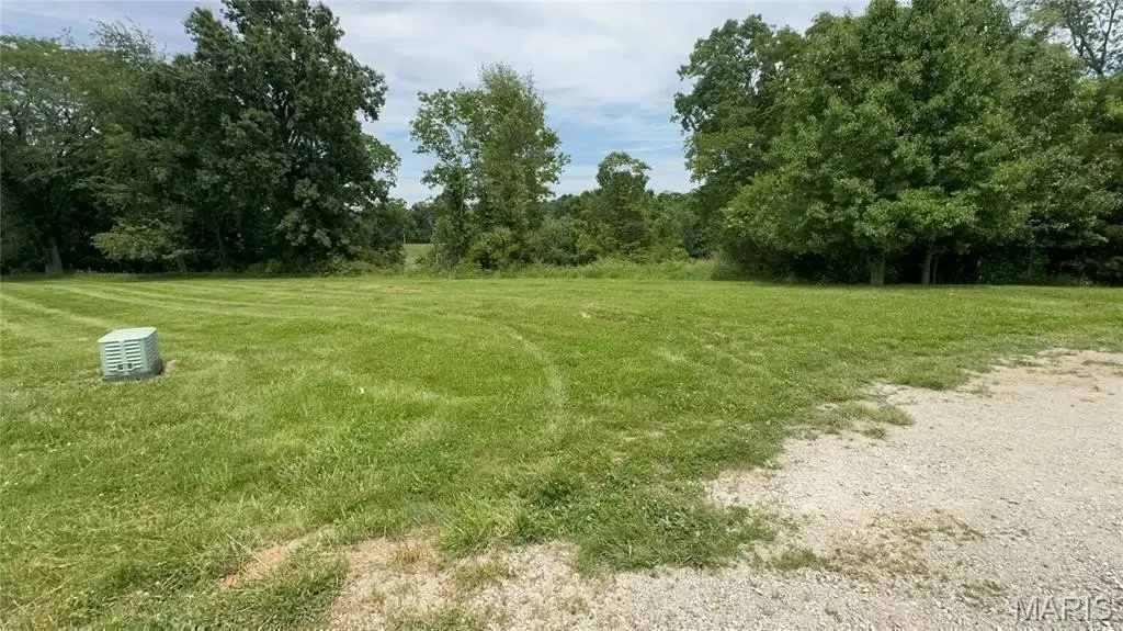Picture 5