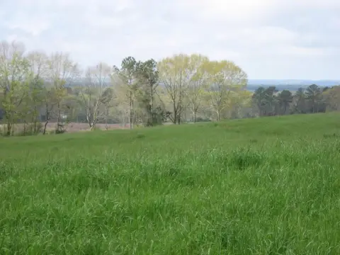 Ellisville Land Lot For Sale