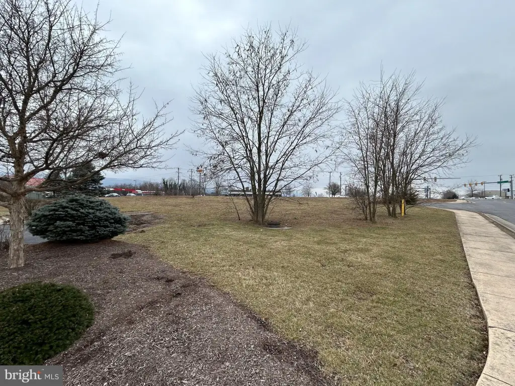 Picture 19