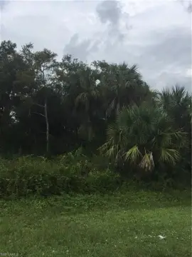 Residential Land in Naples, FL