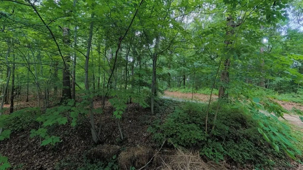 Picture 4