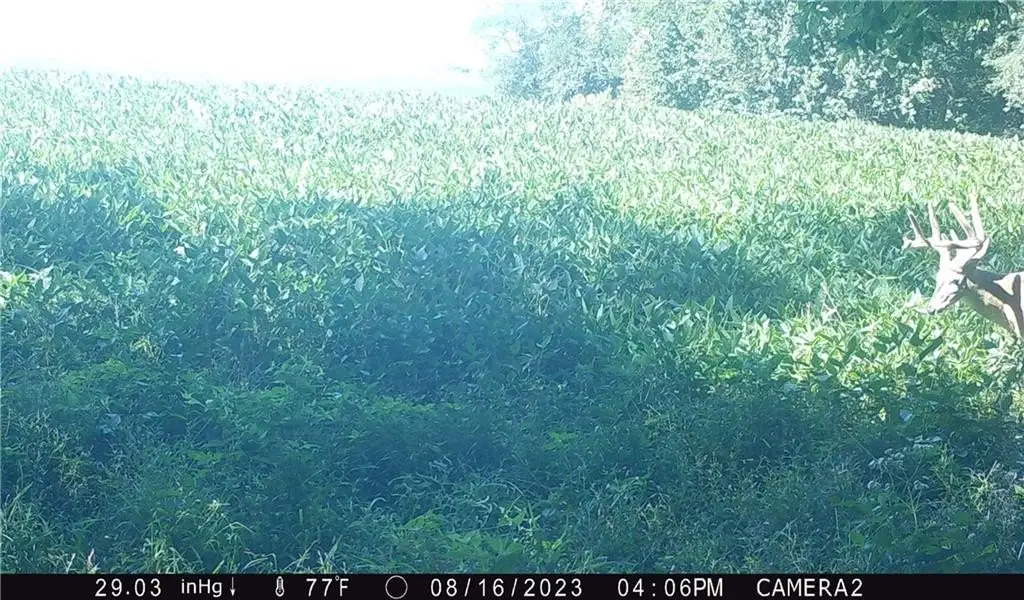 Picture 41