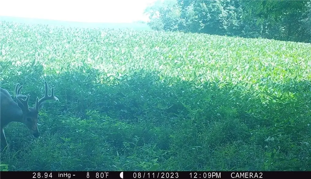 Picture 42