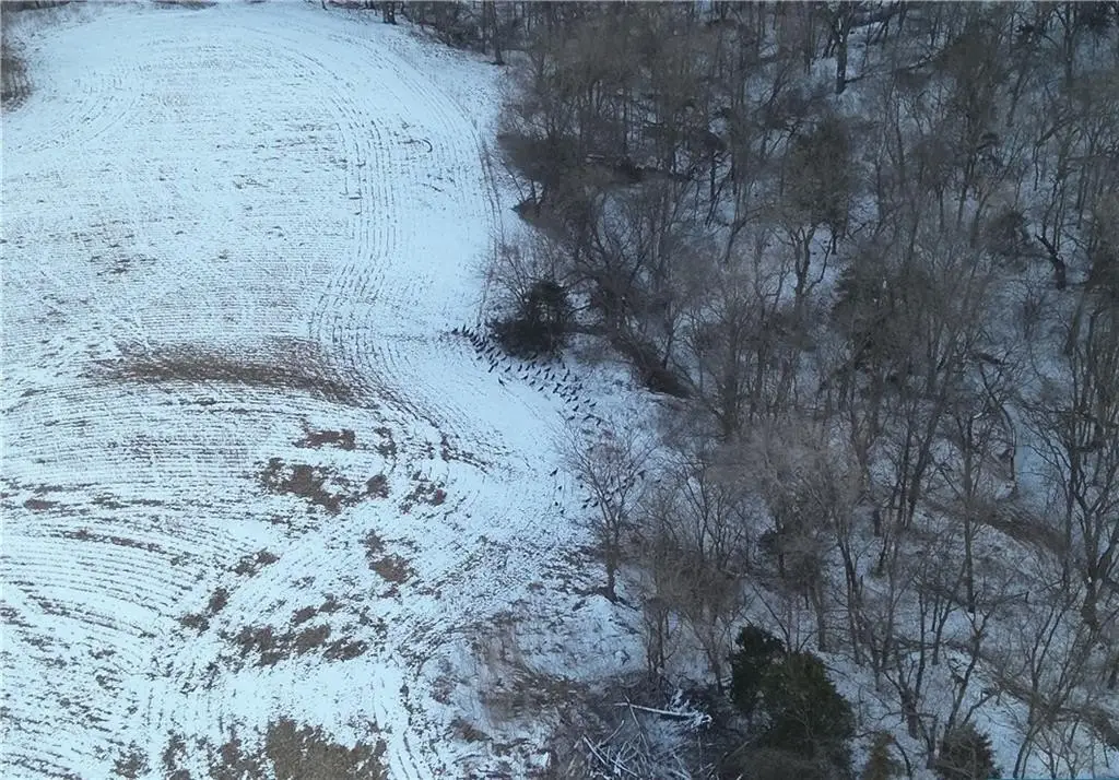 Picture 23