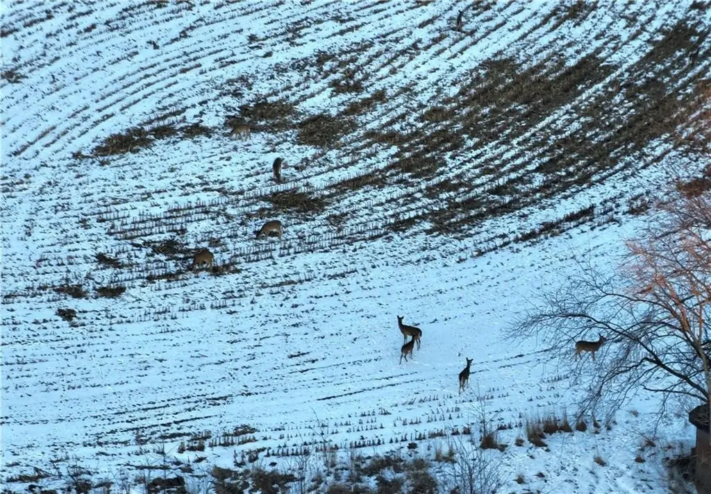 Picture 20