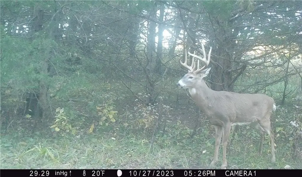 Picture 3