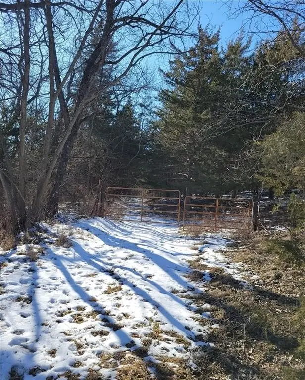 Picture 41