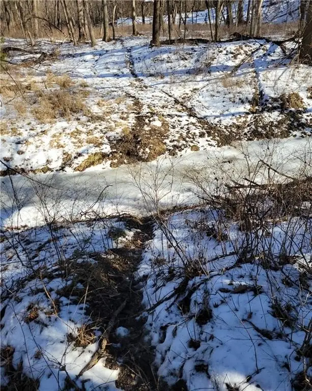 Picture 61