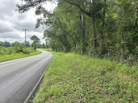 Timberland Recreation and Homesite Tract