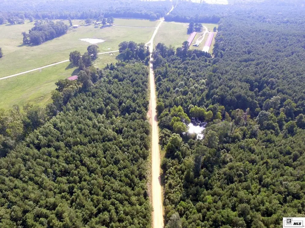 Picture 23