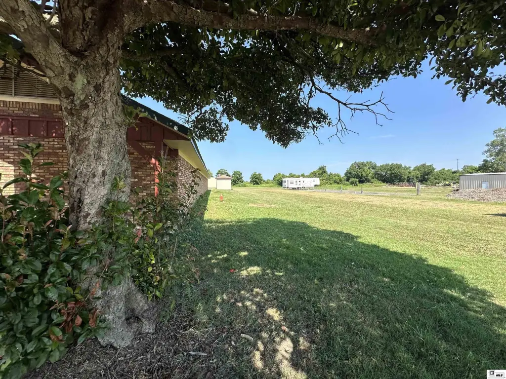 Picture 29