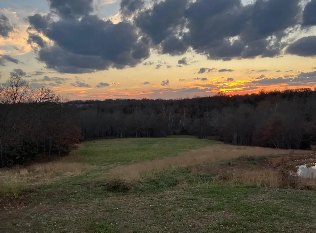 Picture 44