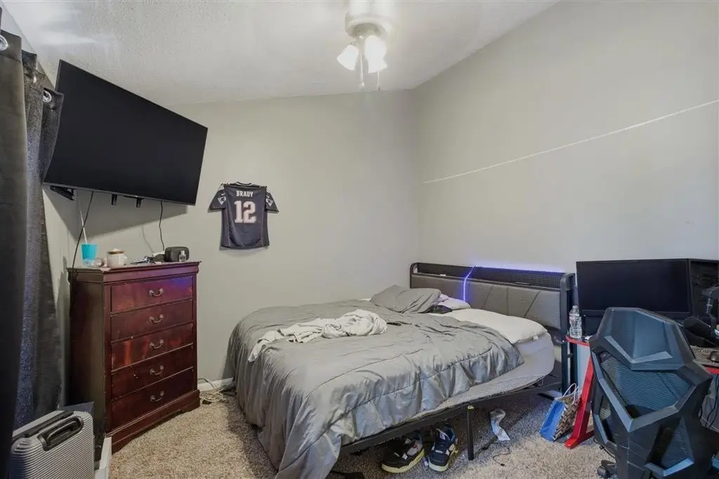 Picture 15