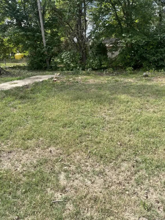 Picture 5