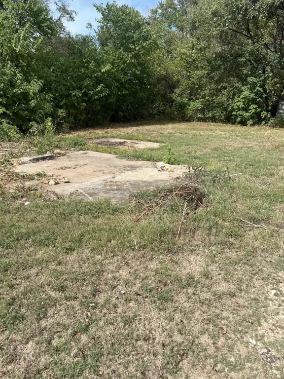 Picture 6