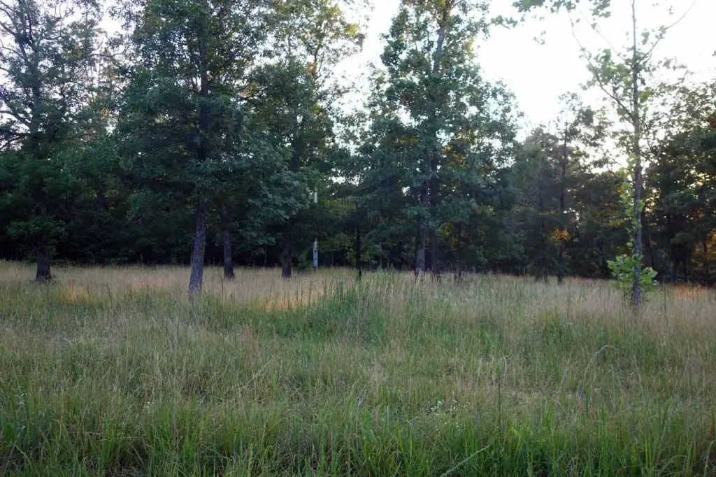 Picture 13